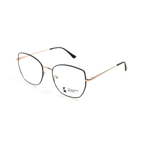 BRIXTON BF 223 C12